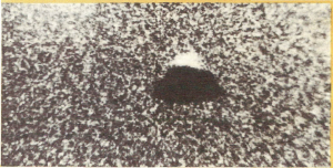 Foto ufo particolare ingrandito fiume Simeto febbraio 1983