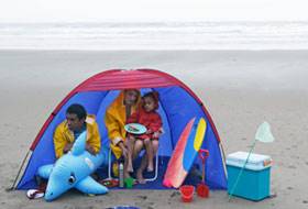Flashes of holiday. How many summers yet for humanity?