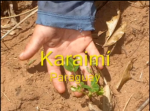 MADRE TIERRA, LOS NIÑOS DEL KARAIMÍ, PARAGUAY