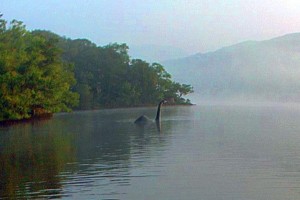 MISTERIOSI ANIMALI NEL LOCH NESS…?
