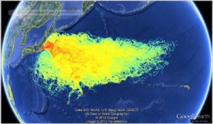  Le acque contaminate dall'incidente di Fukushima