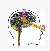 «…Il cervello umano è una perfetta radio ricevente e trasmittente irripetibile… «ma cosa riceve e cosa trasmette…!?»