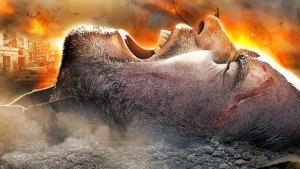 Ancora…sul messaggio di Fatima…e la situazione mondiale sempre più drammatica…!!